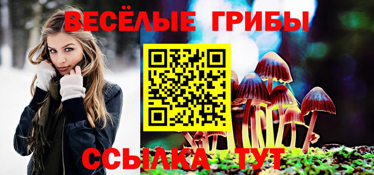 Галлюциногенные грибы MAGIC MUSHROOMS Топки