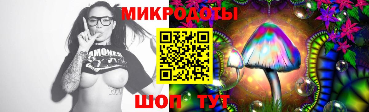где купить наркотик  Вход с VPN  Топки  Галлюциногенные грибы Psilocybine cubensis 