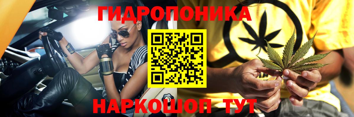 Марихуана индика  Вход с VPN  Бошки Шишки план  Топки 